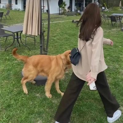 无知的声音